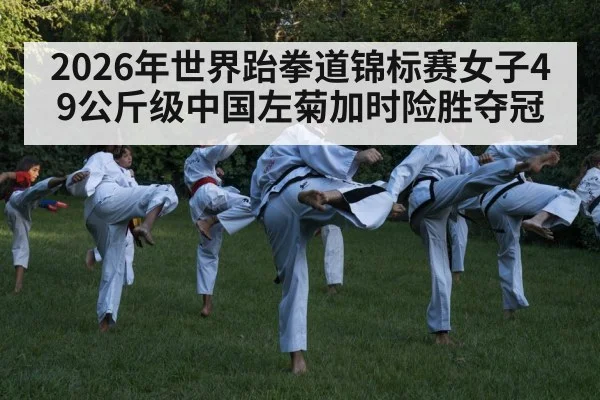 taekwondo kick